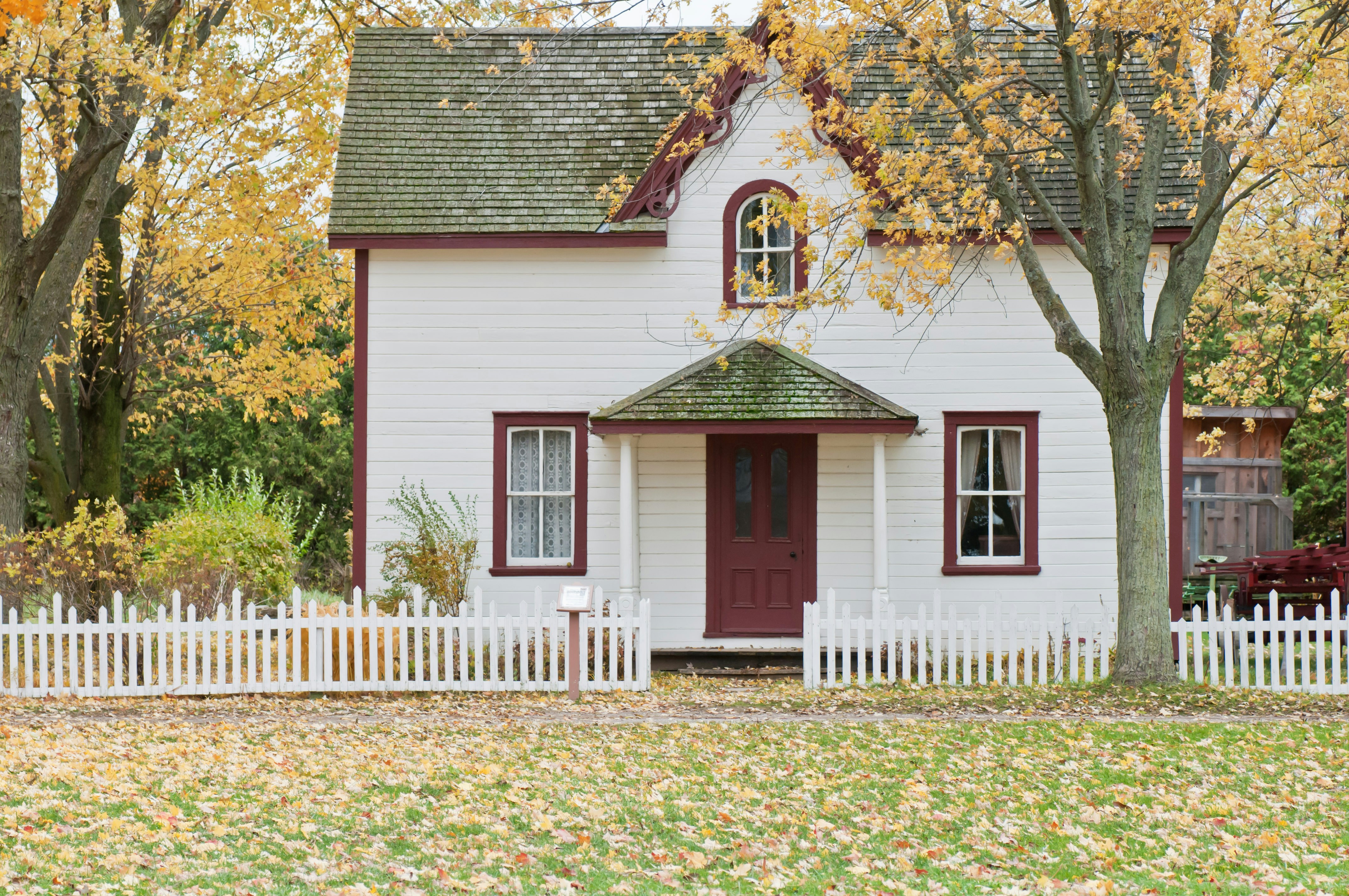 Photo of front yard